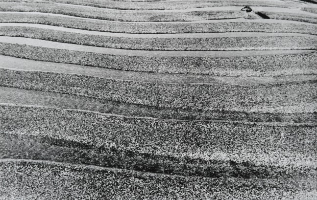 Untitled | ca. 1970
Black and white photograph
9.4" x 15" | Framed: 16.5" x 21.75"
TG 2629