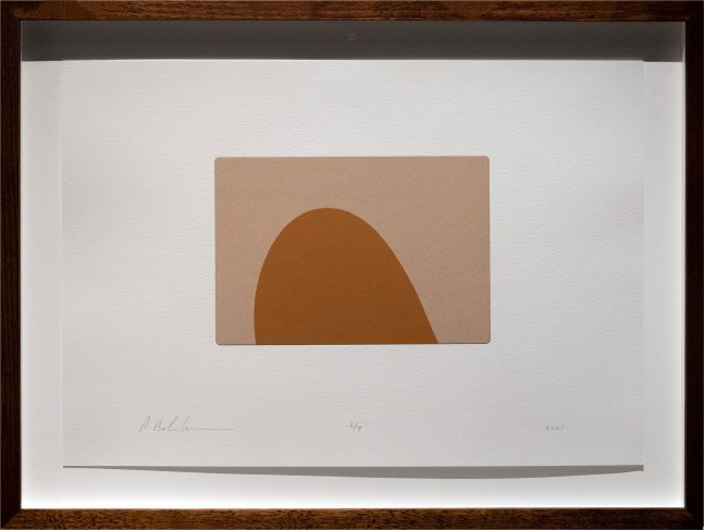 Alwar Balasubramaniam
L.S. VI, 2021
Silkscreened earth
Edition of 9
Paper 11.75” x 16.5” | Image 5.5” x 7.5”
Framed 15” x 19.5”
TG# 4382