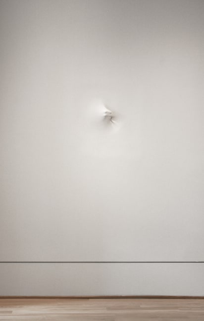 Hidden Sight,&amp;nbsp;2007
Fiberglass, wood, and acrylic
20 1/2&amp;quot; x 22 3/4&amp;quot; x 3&amp;quot;&amp;nbsp;