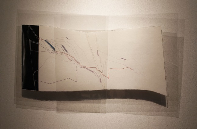 Something! 2010
Gouache, cotton thread on paper, plastic sheets
12 1/2" x 22 1/2"