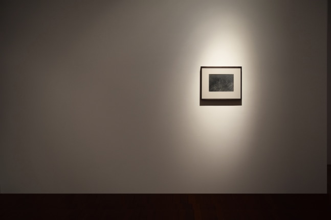 Nasreen Mohamedi