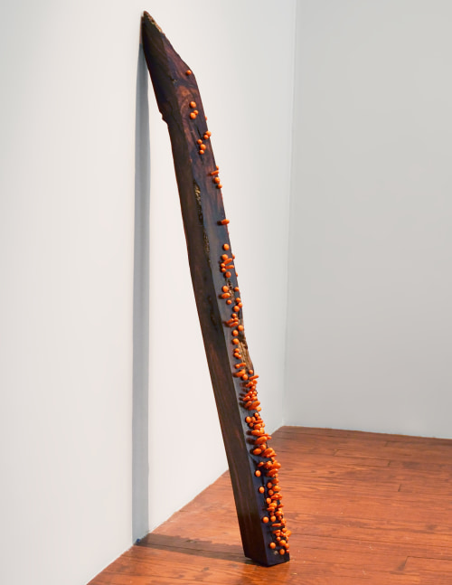 Remanence from last night's dream, 2011
Carved rosewood, lacquered wood and pigments
42 1/2" x 4" x 4"