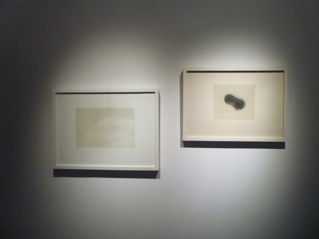 Exhibition View