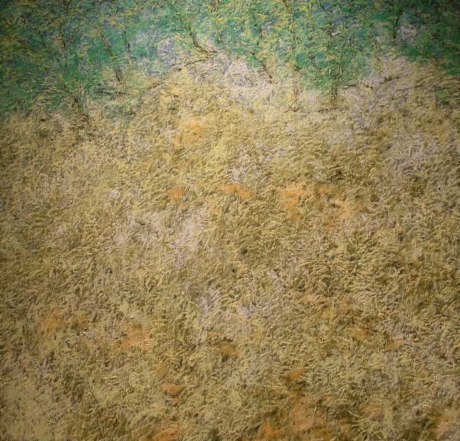 White Grass, 2004

Oil on canvas

48&amp;quot; x 48&amp;quot;

TG 1182
