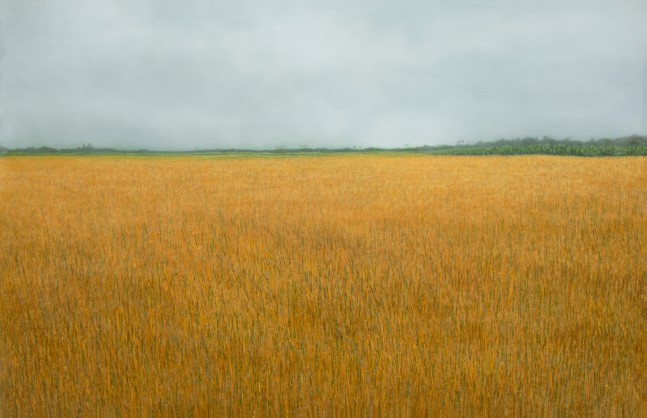 Untitled&amp;nbsp;| 2022
Oil on canvas
49&amp;Prime; x 76&amp;Prime;
TG 4560