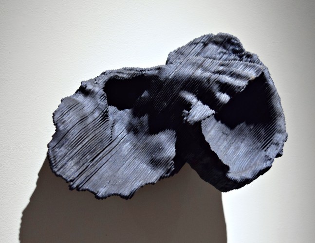 Twist in the wind, 2015