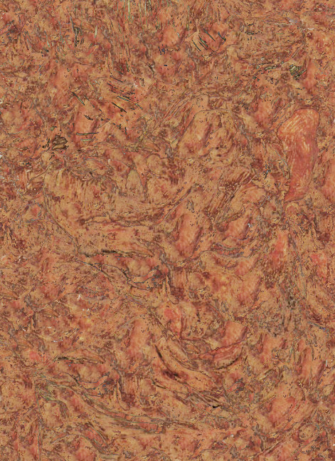 Schiele, 2010

C &amp;ndash; Print

17&amp;quot; x 13&amp;quot;