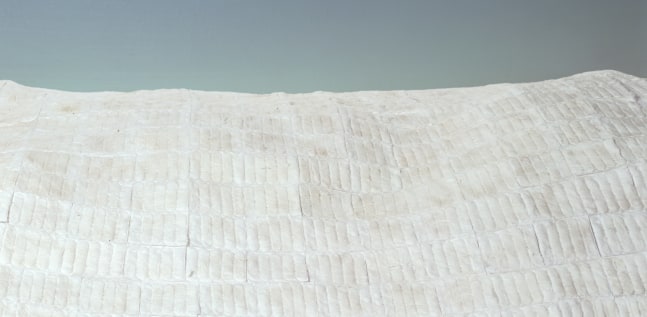 he had a vague sense of an elusive meaning, a light in the distance, a glimmer on the horizon, something he wanted to say if only he had the language for it, 2001

C Print on Aluminum

23 1/2&amp;quot; x 46 1/2&amp;quot;

&amp;nbsp;