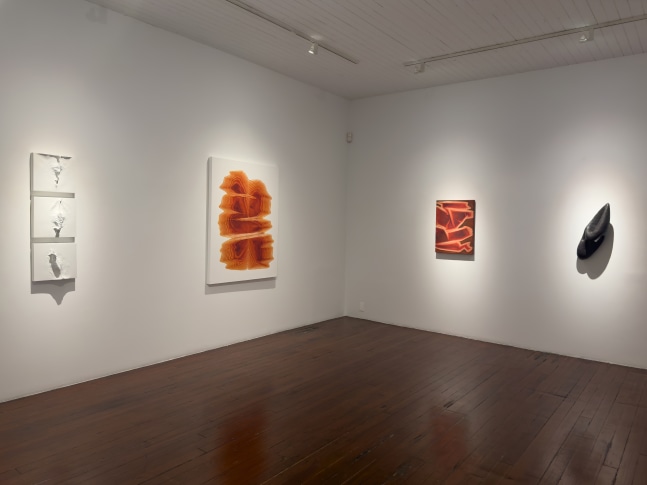 Exhibition View