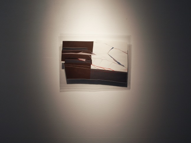 Don't Move Me! 2009
Gouache, cotton thread on paper, plastic sheets
12 1/4" x 16 1/4"