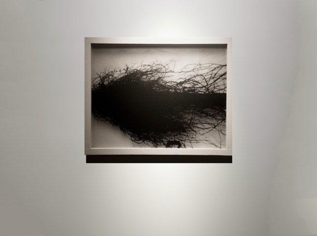 Untitled, 2007
Silkscreen on acrylic
23" x 18 1/2" x 2 1/2"