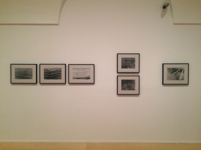 Exhibition View
