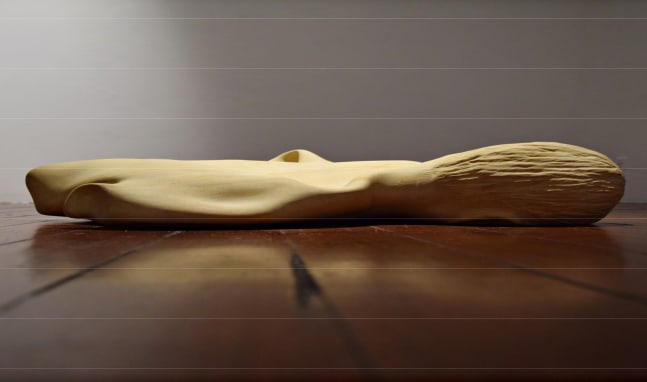 Body as shell,&amp;nbsp;2011-15