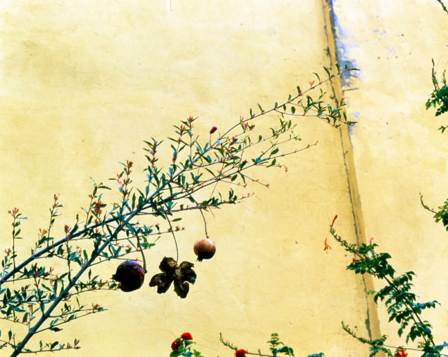 Musalimun, 1998
Lightbox
33" x 40"