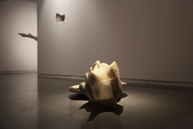 ALWAR BALASUBRAMANIAM