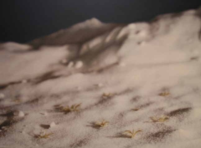 it didn&amp;#39;t hurt, nothing hurt, and he let himself float into the strangeness of the sensation, 2001

C Print on Aluminum

23 1/2&amp;Prime; x 39&amp;Prime;