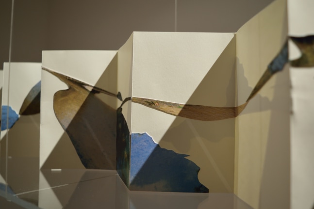 Land and Water (detail)