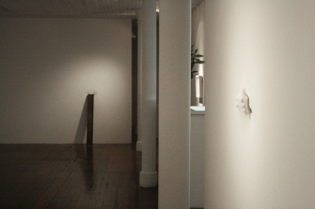 Exhibition View