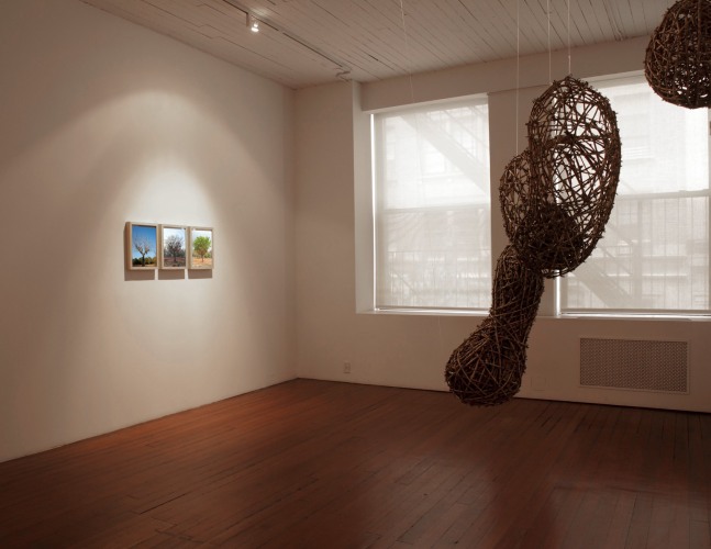 Exhibition View