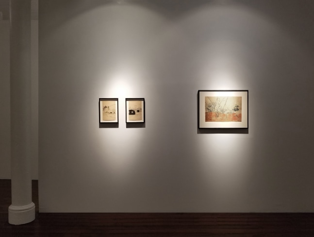 Nasreen Mohamedi