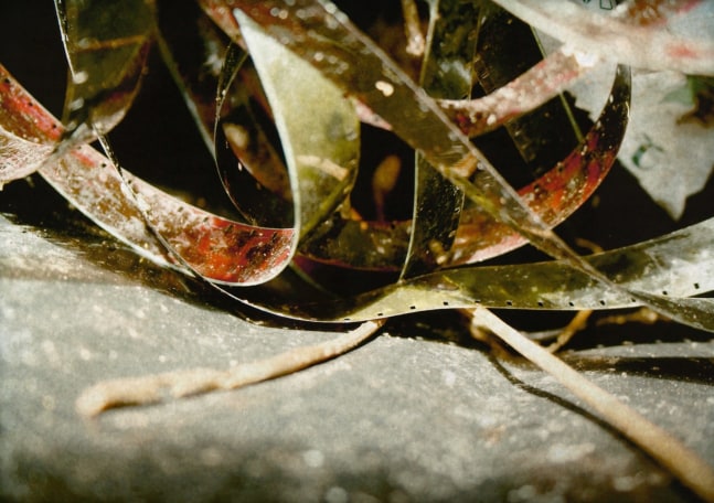 Priya in Process 1,&amp;nbsp;2008

Lightbox

12 3/4&amp;quot; x 16 3/4&amp;quot;