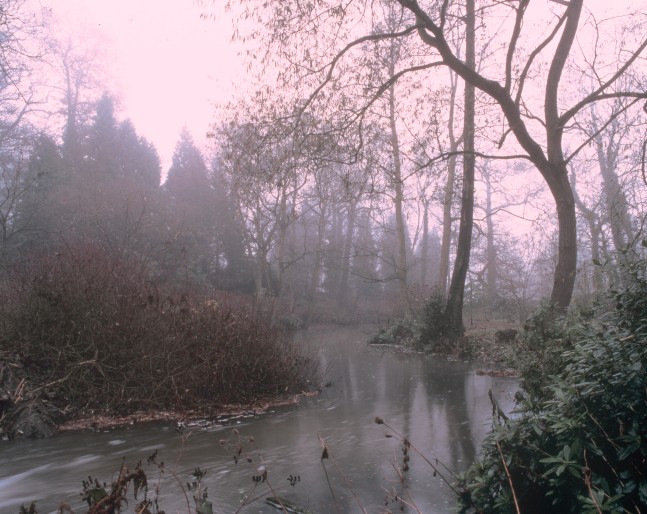 Whereas a Black Servant Boy, 1998
C Print on Aluminum
48" x 62"