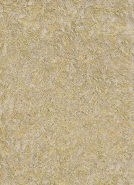 Turtle (tgrntrpclstrm),  2010
C – Print
55" x 40"