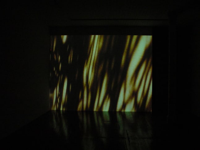 Exhibition View
