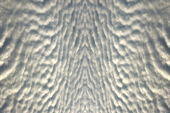 Divine5884, 2007
C Print
19 3/4" x 29 3/4"