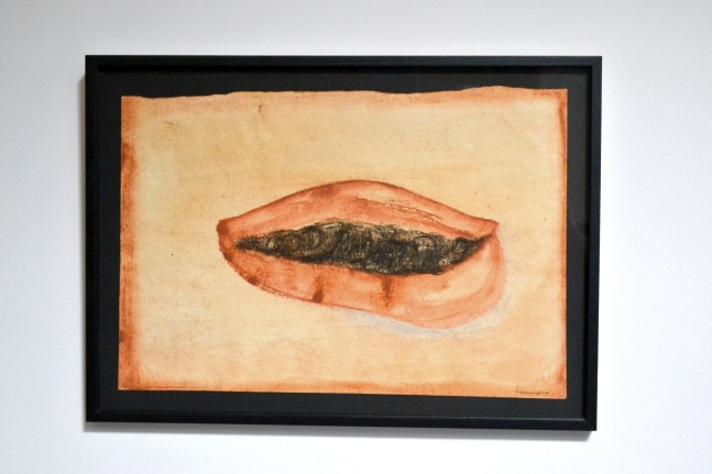 Fatal Echo (Labia Majora), 1993
Earth pigment and charcoal on paper
25" x 18"