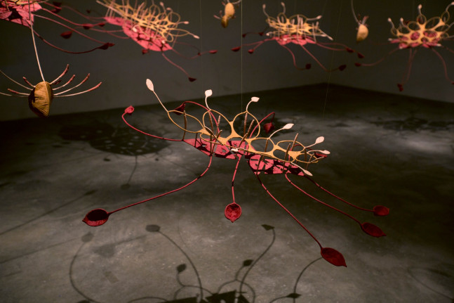 Seven ponds and a few raindrops, 2017