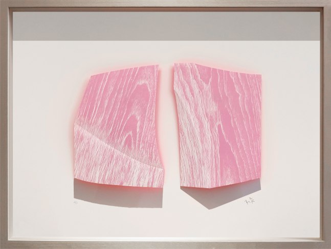 Catching up, 2020
Three-dimensional woodcut print and acrylic
21" x 28.75" x .75"
TG# 4355