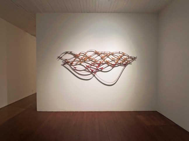Taking a dip | 2023
Stainless steel, muslin, pigment from madder root and pomegranate
106" x 44.5" x 2"
TG 5004