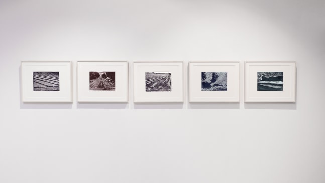 Postcards from my hometown, 2021
Woodcut print
12.5" x 16.25" x .75" (Each of 5)
TG# 4408