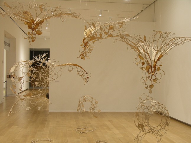 Sun-sneezers blow light bubbles, 2007-2008