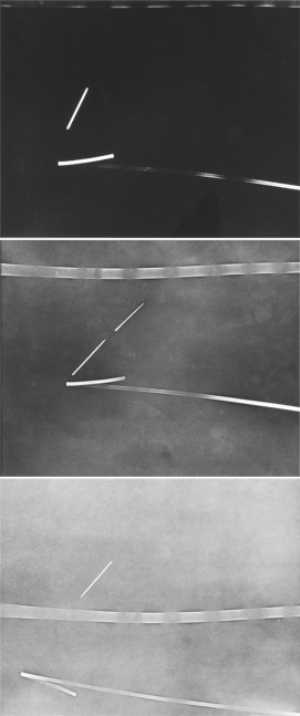 Untitled, ca. 1970s
Black and white photograph
35 2/5” x 15”
TG 1131