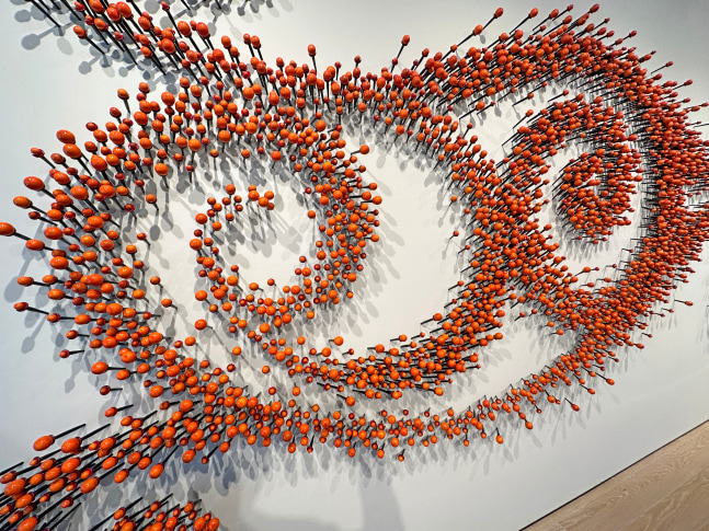 Sundew&amp;nbsp;| Detail