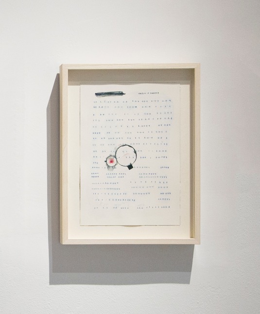 Anjum F746047, 2015
Watercolor pencil on paper
13" x 9 3/4"