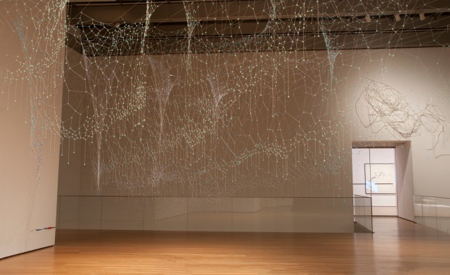 Exhibition View