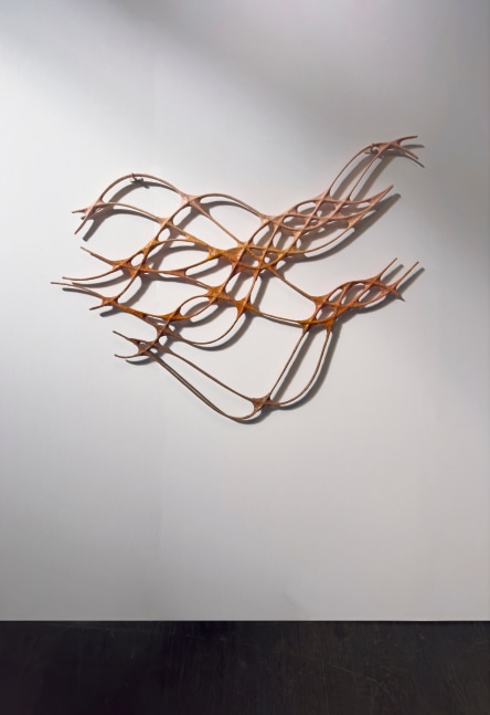 Flow | 2024
Stainless steel, muslin, pigment from madder root and pomegranate
63.5” x 43.25” x 1.5”
TG 5067