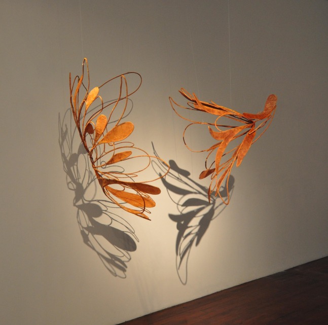 Bird Song III, 2009
Stainless steel, muslin dyed in areca nut, tamarind kernel, and lacquer
39" x 57" x 47"