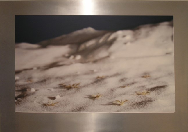 Allan deSouza
it didn't hurt, nothing hurt, and he let himself float into the strangeness of the sensation, 2001
C Print on Aluminum
24" x 39"