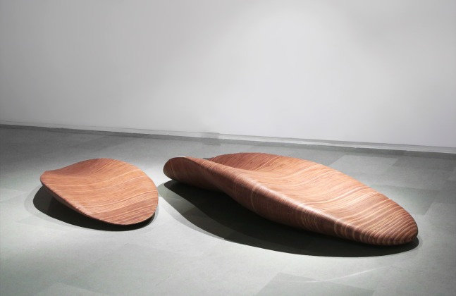 Withhold, 2017
Wood
75" x 32" x 8.5" & 101" x 39" x 16" 