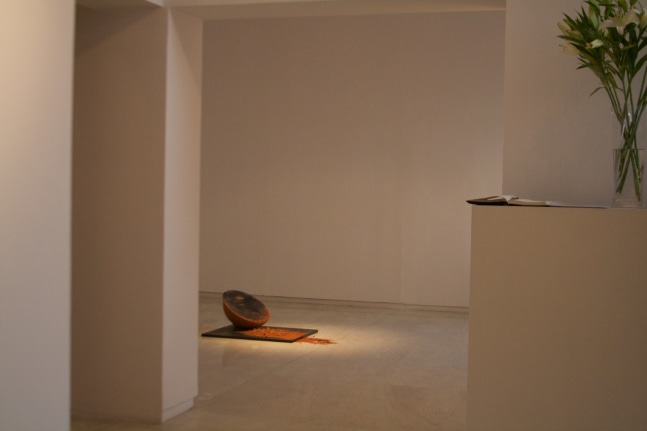Exhibition View