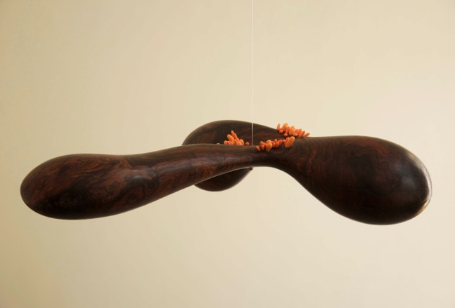 Remanence from last night's dream, 2011-2016
Carved rose wood, lacquered wood and pigments
72" x 50" x 35"