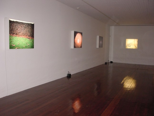 Exhibition View