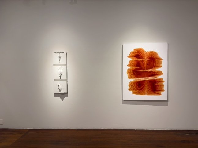 Exhibition View