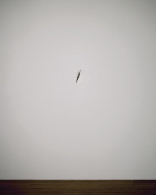 Shell as a Body, 2007
Fiberglass, wood, acrylic
18&amp;rdquo; x 21&amp;rdquo; x 8&amp;rdquo;
TG 1553
&amp;nbsp;