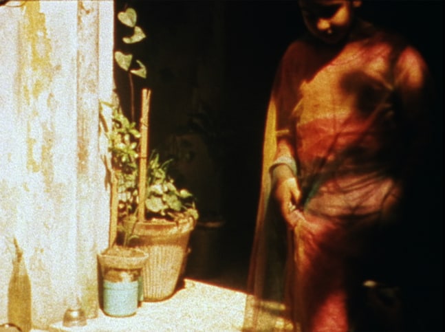 Eating Grass (Film Still)