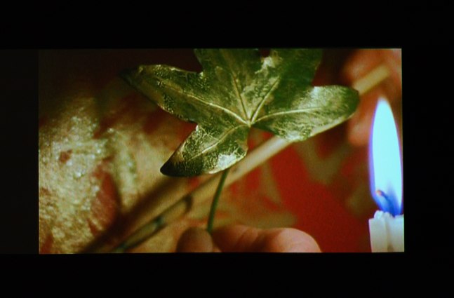 Wallpaper&amp;nbsp;(Film Still)